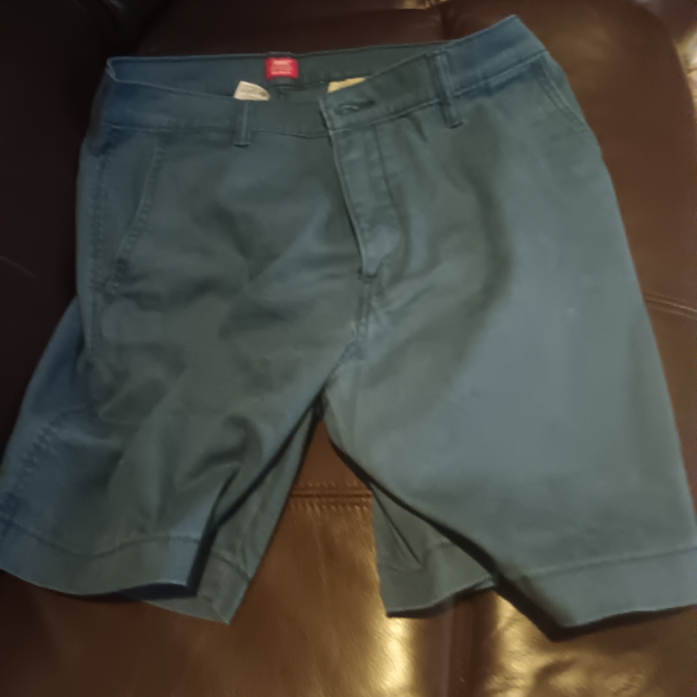 Levi's Teal Blue Men's Jean Shorts